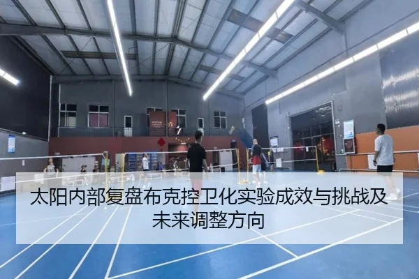太阳内部复盘布克控卫化实验成效与挑战及未来调整方向